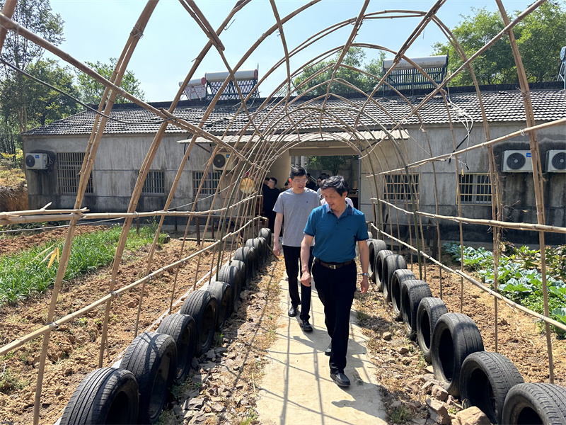 “追尋紅色足跡，擁抱生態夏意”-夏日團建活動10