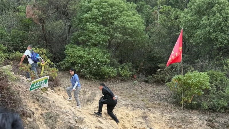 粽情飛馬線·登高慶端陽-端午登高活動2